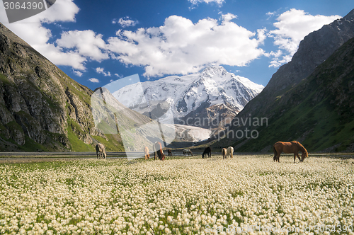 Image of Kyrgyzstan near Karakol
