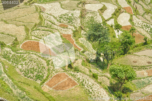 Image of Terraced fields