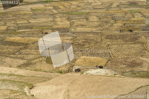 Image of Fields in Nepal