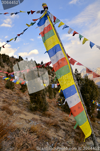 Image of Flags hanging over trees, India