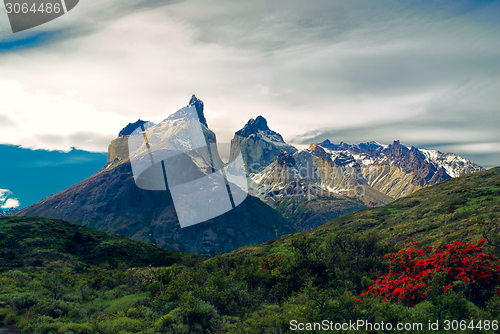 Image of Torres del Paine