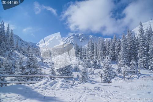 Image of Idyllic winter