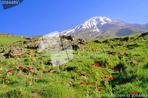 Image of Damavand in Iran