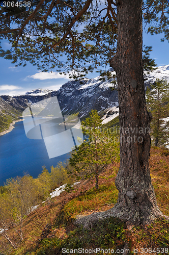 Image of Trolltunga, Norway 