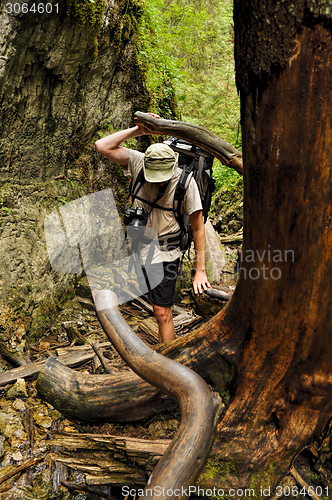 Image of Slovak Paradise National Park