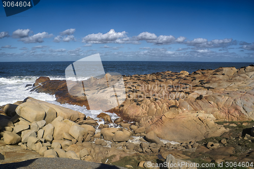 Image of Sea lions in Cabo Polonio