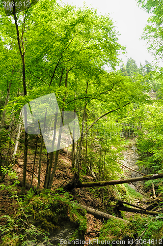 Image of Slovak Paradise National Park