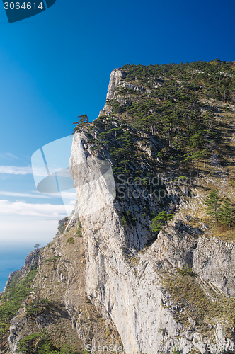 Image of Yalta in Ukraine