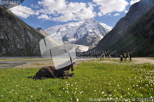 Image of Tien-Shan in Kyrgyzstan