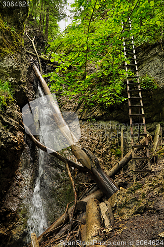 Image of Slovak Paradise National Park