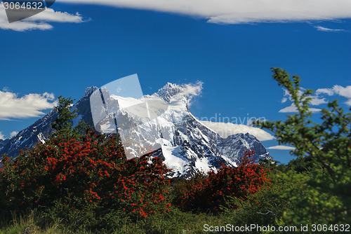 Image of Torres del Paine