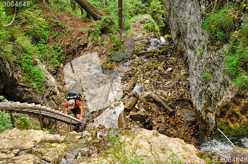 Image of Slovak Paradise National Park