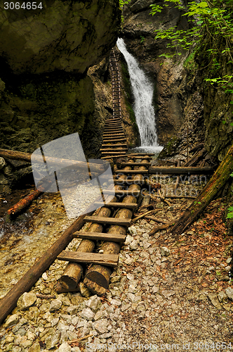 Image of Slovak Paradise National Park