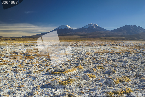 Image of Sajama