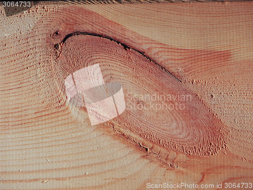 Image of Pine wood background