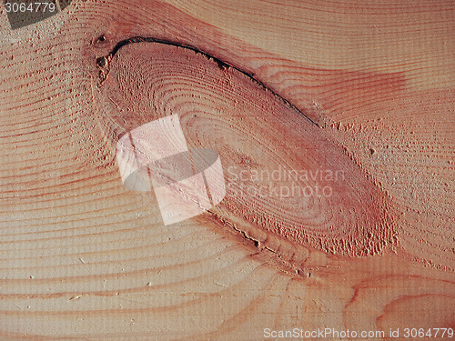 Image of Pine wood background