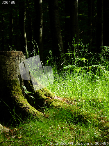 Image of Recreation