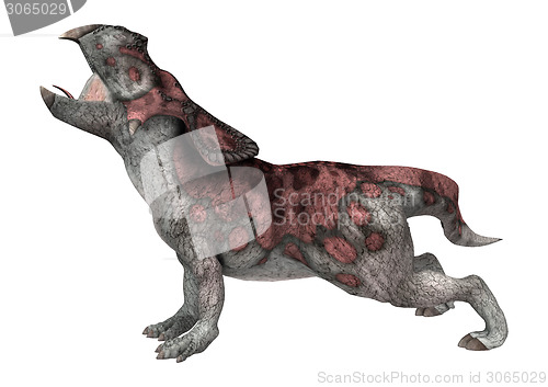 Image of Dinosaur Protoceratops