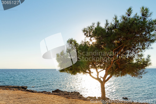 Image of Coastline