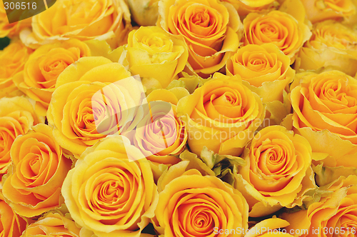 Image of bunch of yellow roses