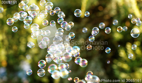 Image of Soap bubbles