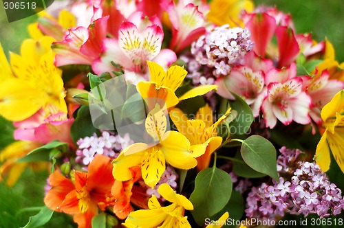 Image of bouquet of beautiful multicolored flowers