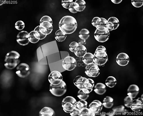 Image of Soap bubbles