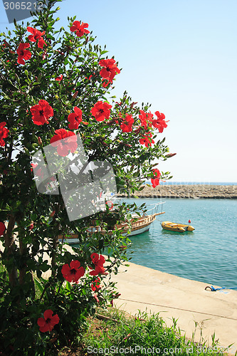 Image of Landscape