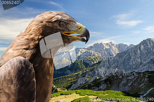 Image of Aerial view of Alps mountains landscape with golden eagle