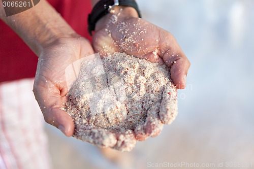 Image of Bermuda Pink Sands Close Up