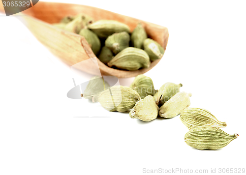Image of Cardamom