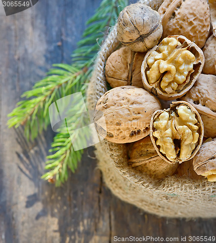 Image of dried walnut in sack and pine tree twigs