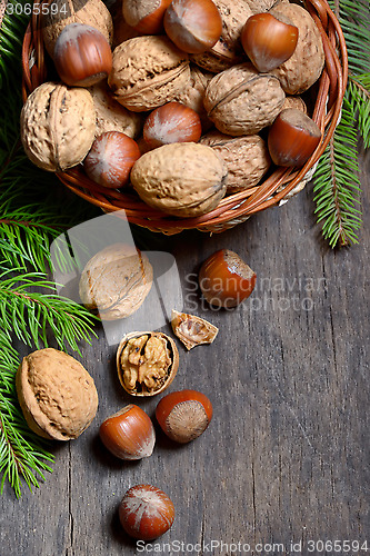 Image of Walnuts and hazelnuts 