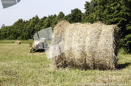 Image of Hay rolls