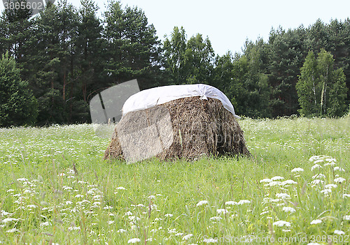 Image of Haystack