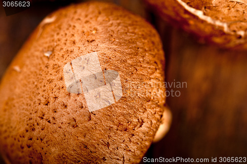 Image of shiitake mushrooms