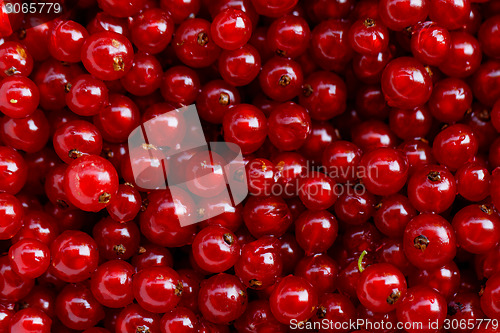 Image of Background red currants