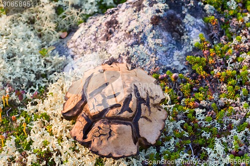 Image of magic symbol Scandinavian special mushroom