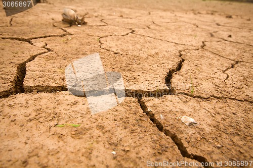 Image of sea drought change of  climate heat water