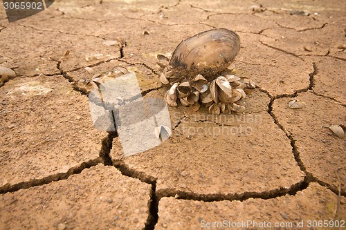 Image of sea drought change of  climate heat water