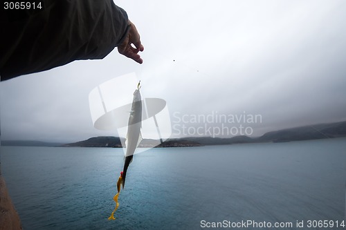 Image of haddock on a rod night sea fishing in Scandinavia