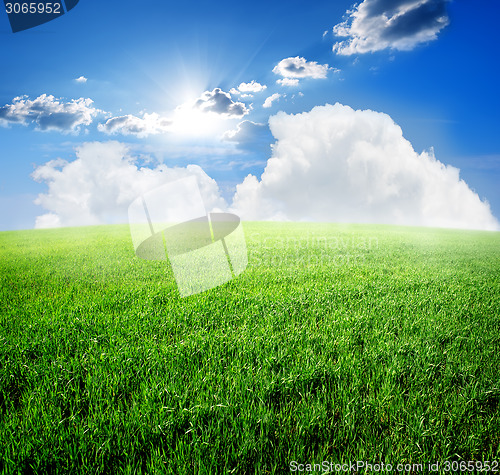 Image of Field and sky