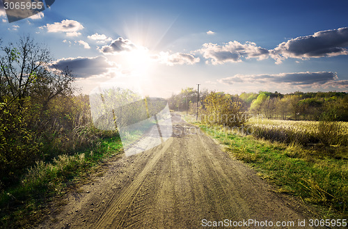 Image of Road through garden