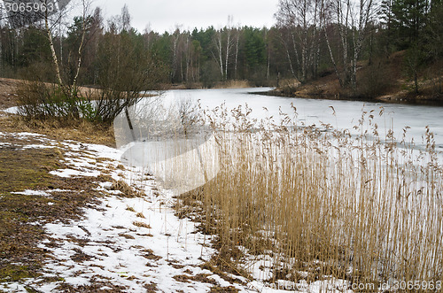 Image of Spring March landscape at wood lake