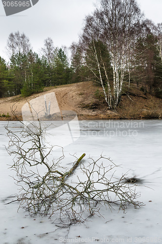 Image of Spring March landscape at wood lake