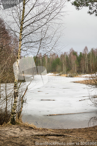 Image of Spring March landscape at wood lake