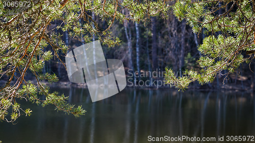 Image of Spring landscape at wood lake