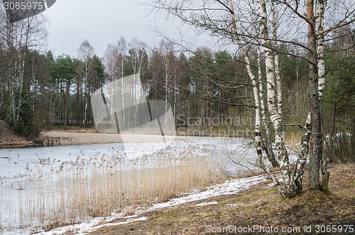 Image of Spring March landscape at wood lake