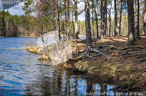 Image of Spring landscape at wood lake