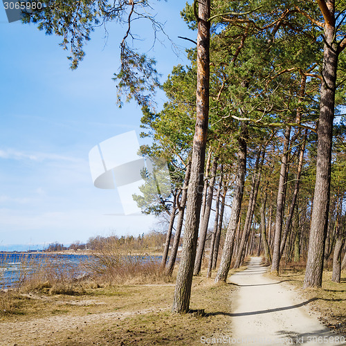 Image of Coast of Baltic sea, a sunny day